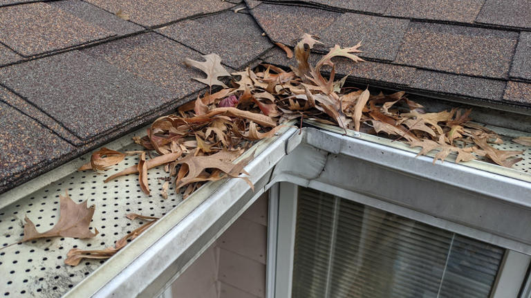 No more scaling ladders: Get your gutter guards clean with an easy-to ...