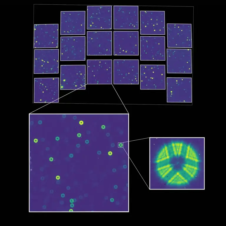 NASA’s new space telescope sends back its first images, and the stars ...