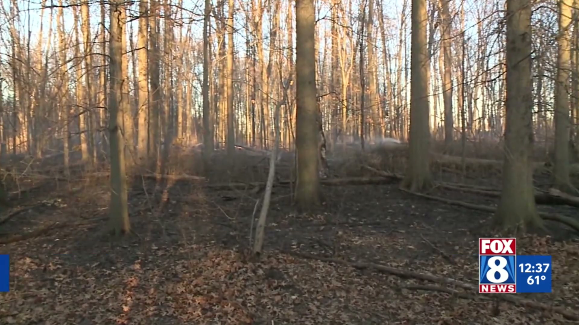 Ohio burn ban is in effect until November