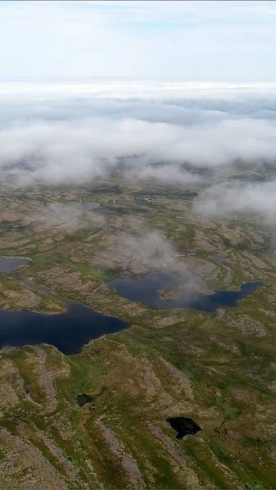Flying over the tundra: A journey through endless beauty