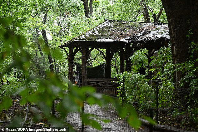 Central Park 'bird lady' found murdered