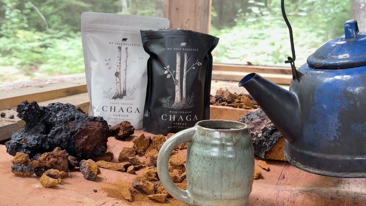 Your 'chaga' might be oats 😬