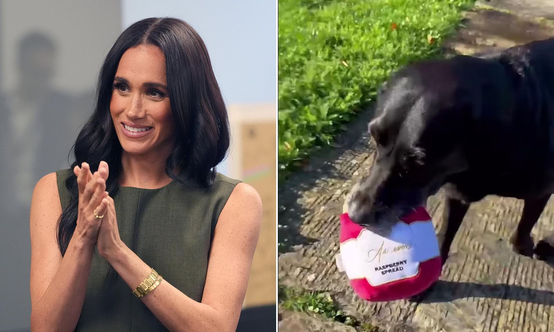 Is Meghan about to release a dog toy? Duchess' Labrador plays with a ...