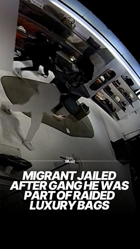 Migrant part of masked gang that raided London John Lewis store