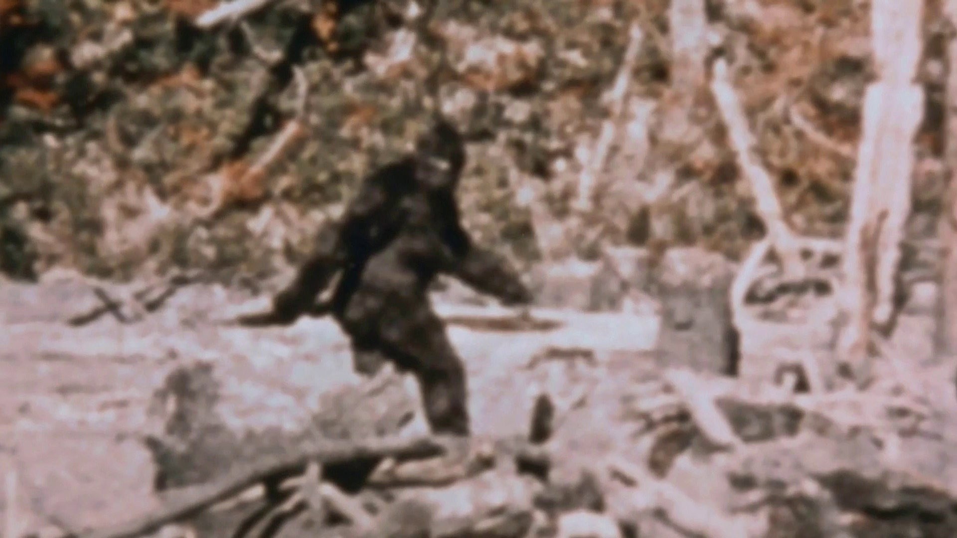 New doc delves into true story behind famous Bigfoot footage