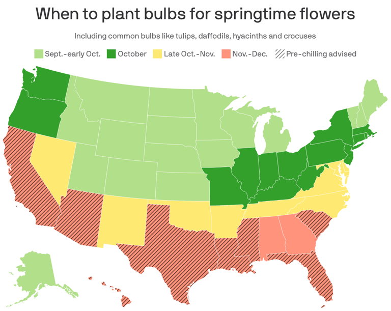 When during fall to plant bulbs for spring flowers