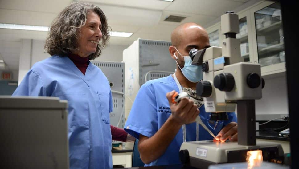 New Bolton Center breaks ground on $94M veterinary diagnostic lab