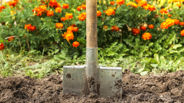 Clever hacks for getting rid of unwanted grass in your flower beds