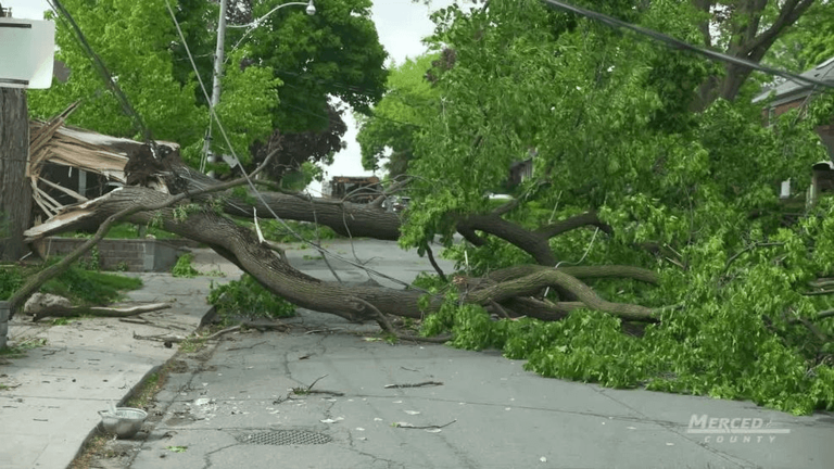 Merced County declares local emergency to prepare for potential El Niño ...