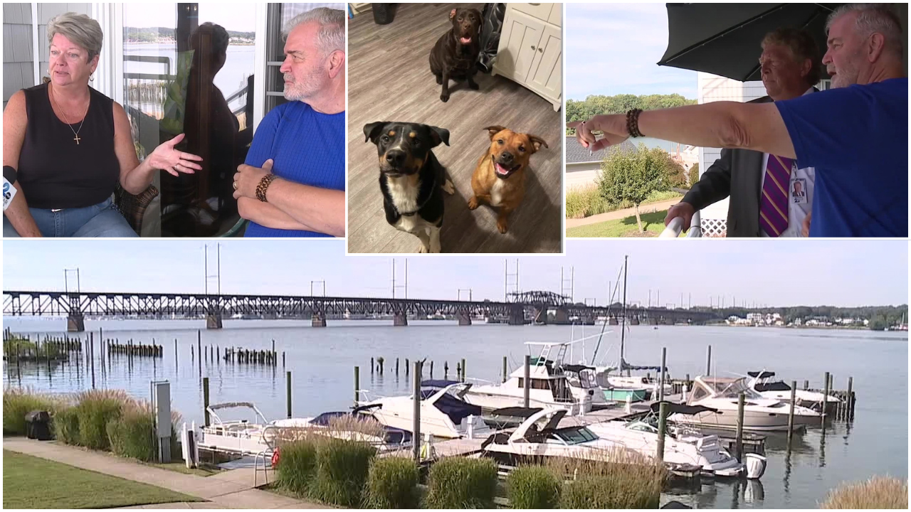 Good Samaritans rescue dogs from drowning in Susquehanna River: 'He was ...