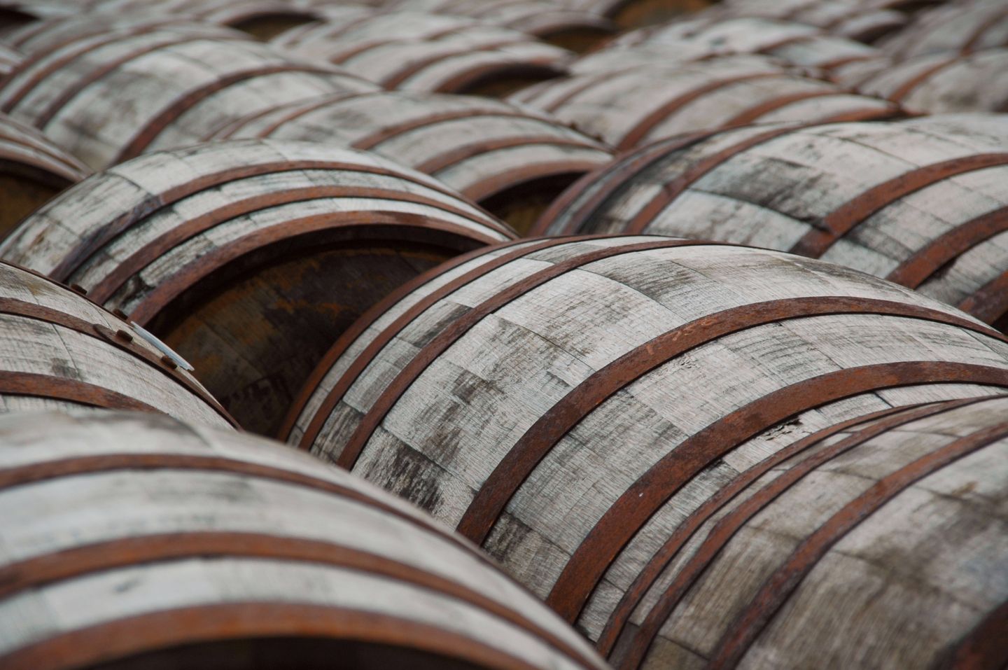 Scotch distiller Holyrood pauses production