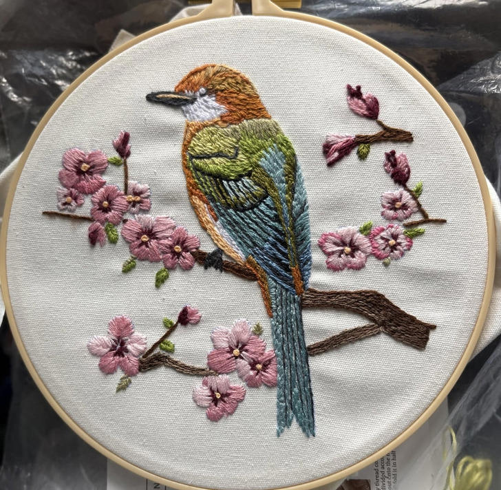 14 people who started a hobby at 70 and stitched their way back to family