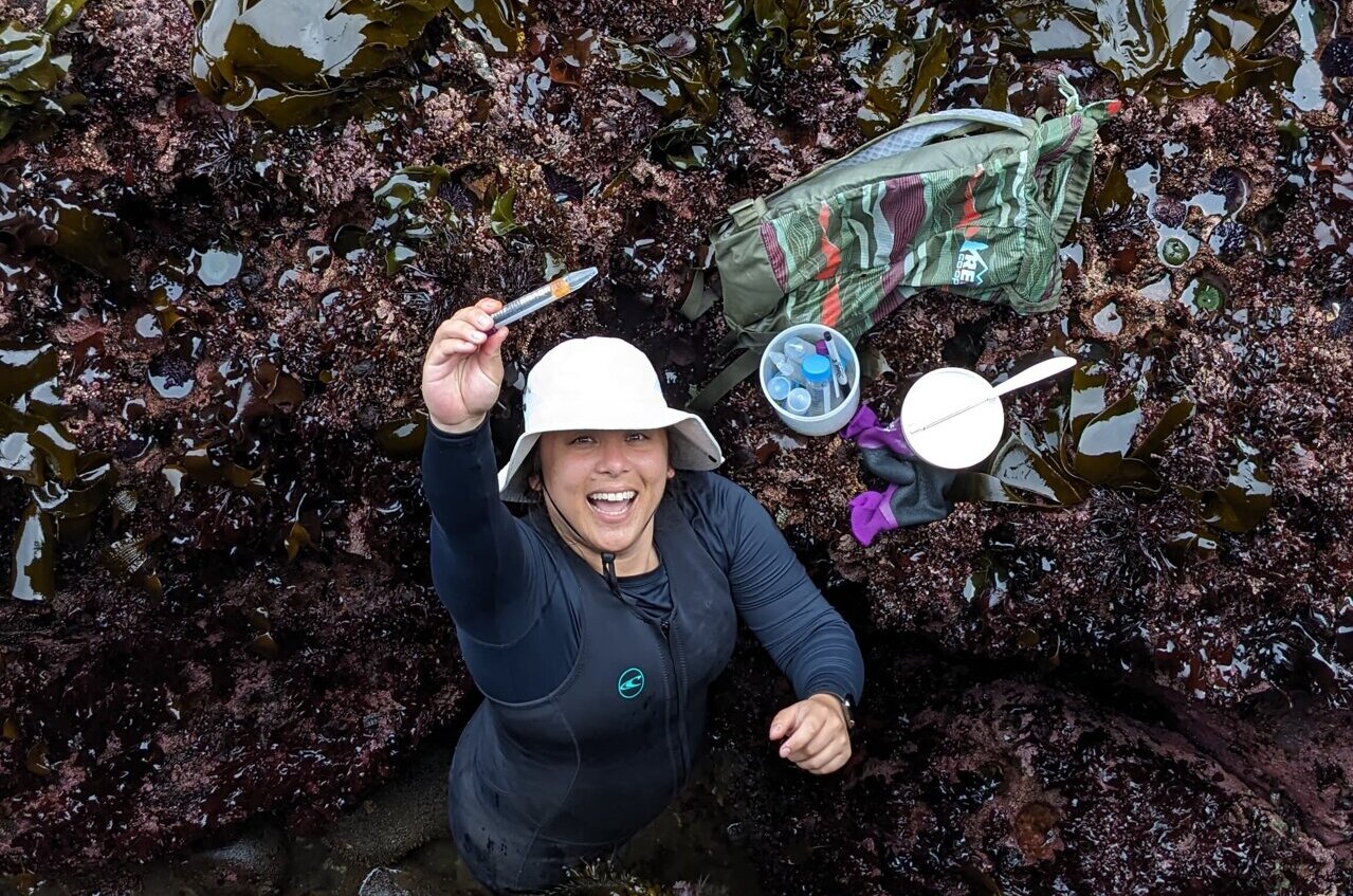 Marine biologists discover new plankton off Oregon coast