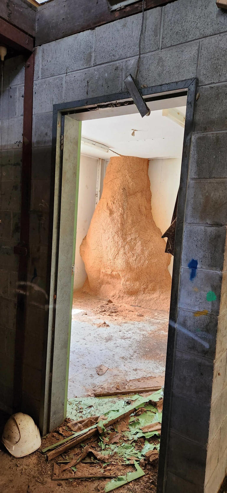 Pest control worker walks into an office and finds a 10-foot-tall ...