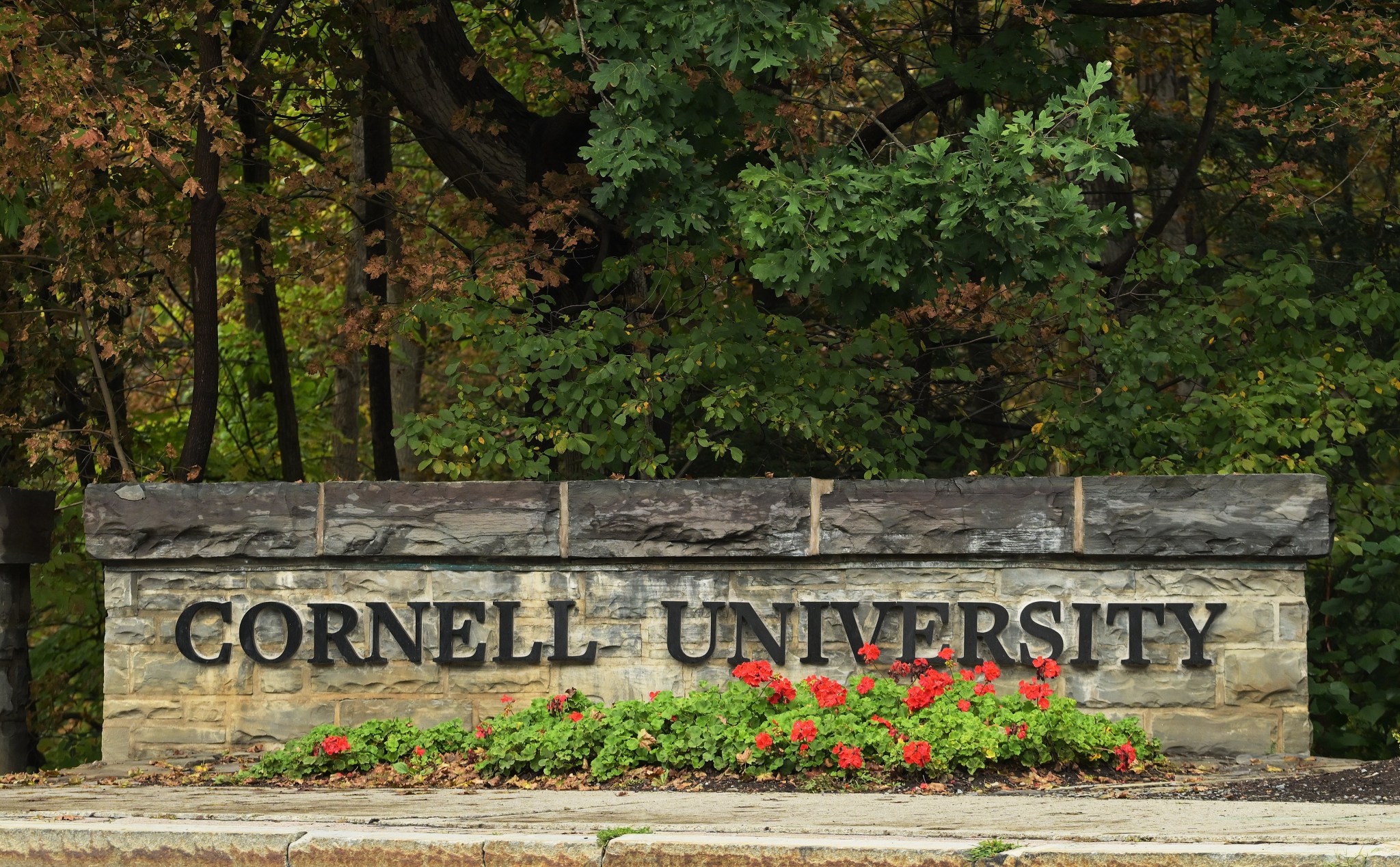 Cornell accuser 'absolutely terrified' as judge seals filings over threats