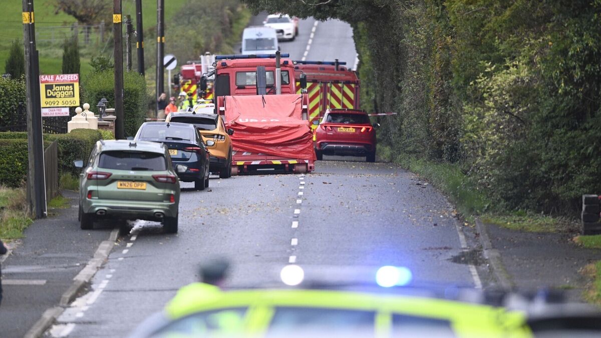 Two dead following workplace incident in Co Down
