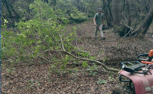 Volunteers help clean up Arkansas Game and Fish Commission Wildlife ...