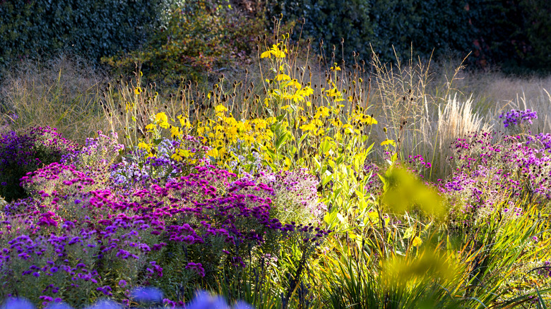 Clever hacks for getting rid of unwanted grass in your flower beds