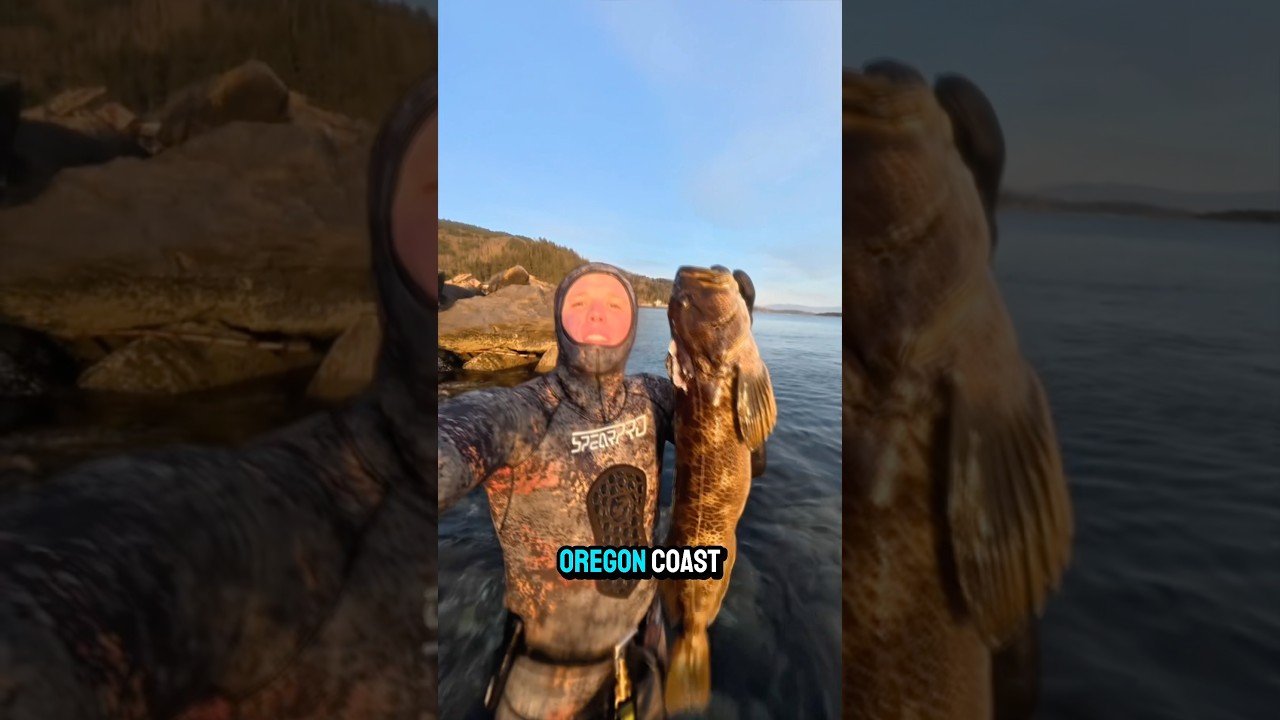 Ling cod pro tips: fast bites