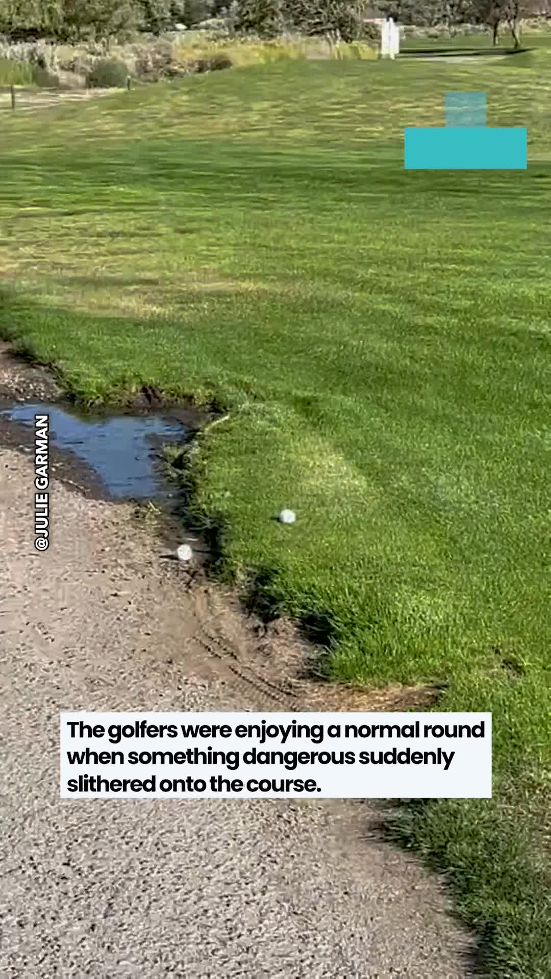 Golfer encounters terrifying visitor on Nevada golf course