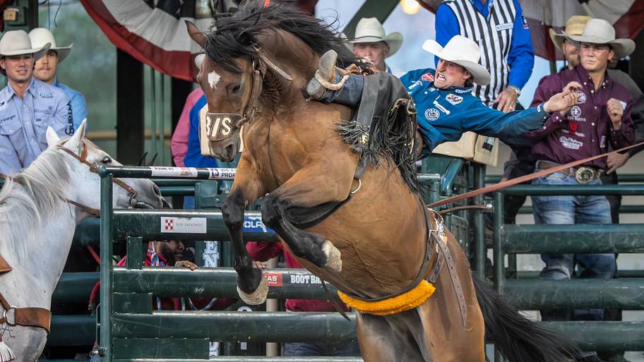 Photo finish caps off 2026 professional rodeo season for saddle bronc ...