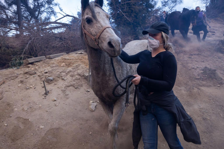 Damning 700-page Palisades, Eaton fire report exposes staggering delay ...
