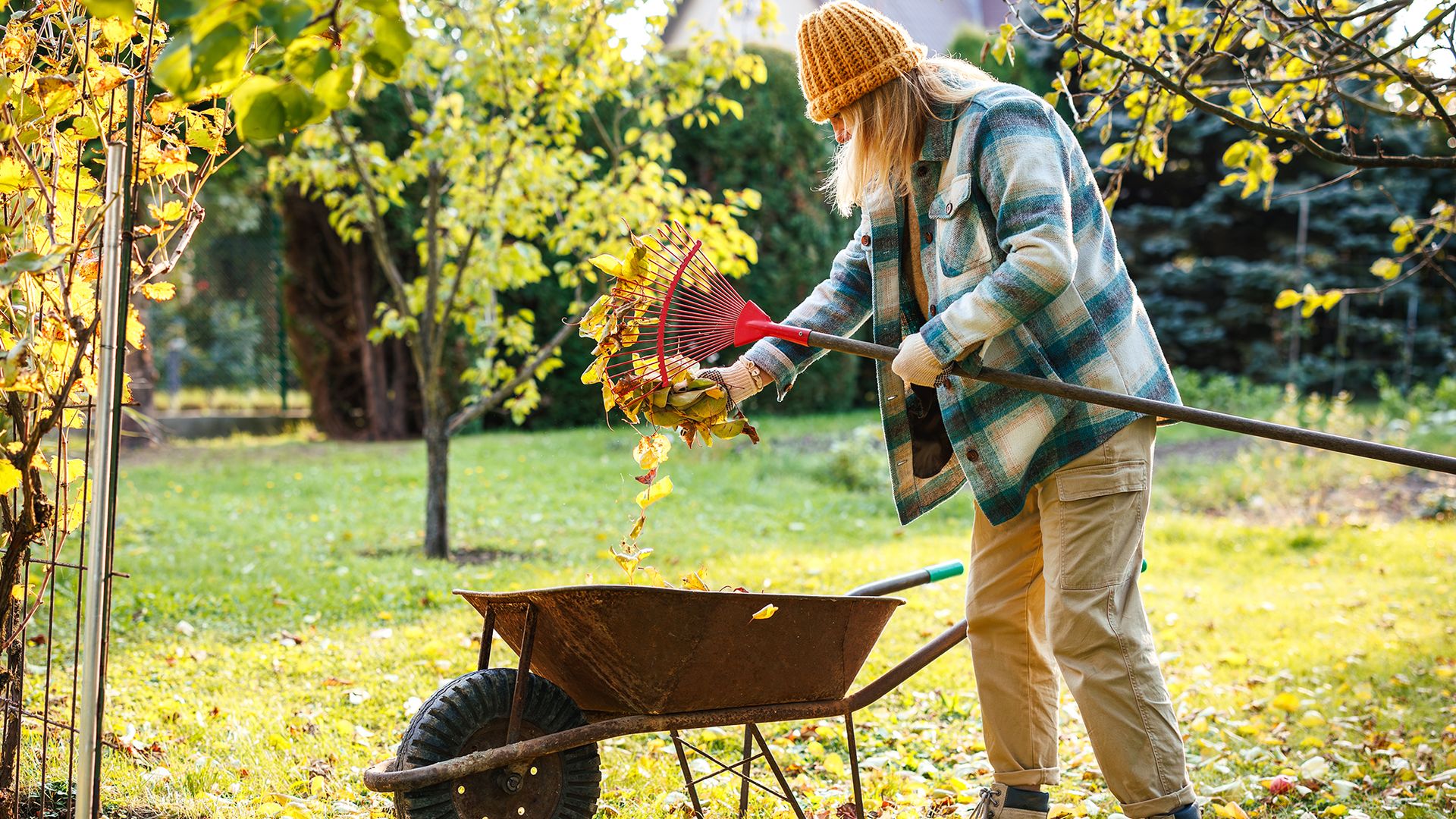 I never buy mulch – these 6 free materials from fall yard cleanup ...