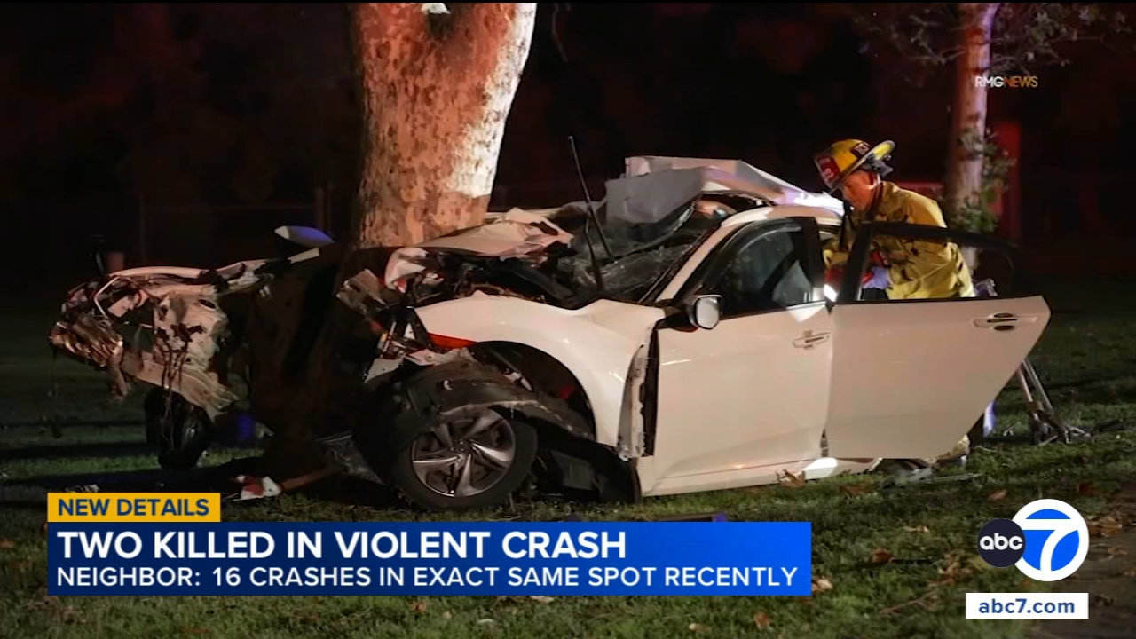 2 killed after car slams into tree along Encino street notorious for ...