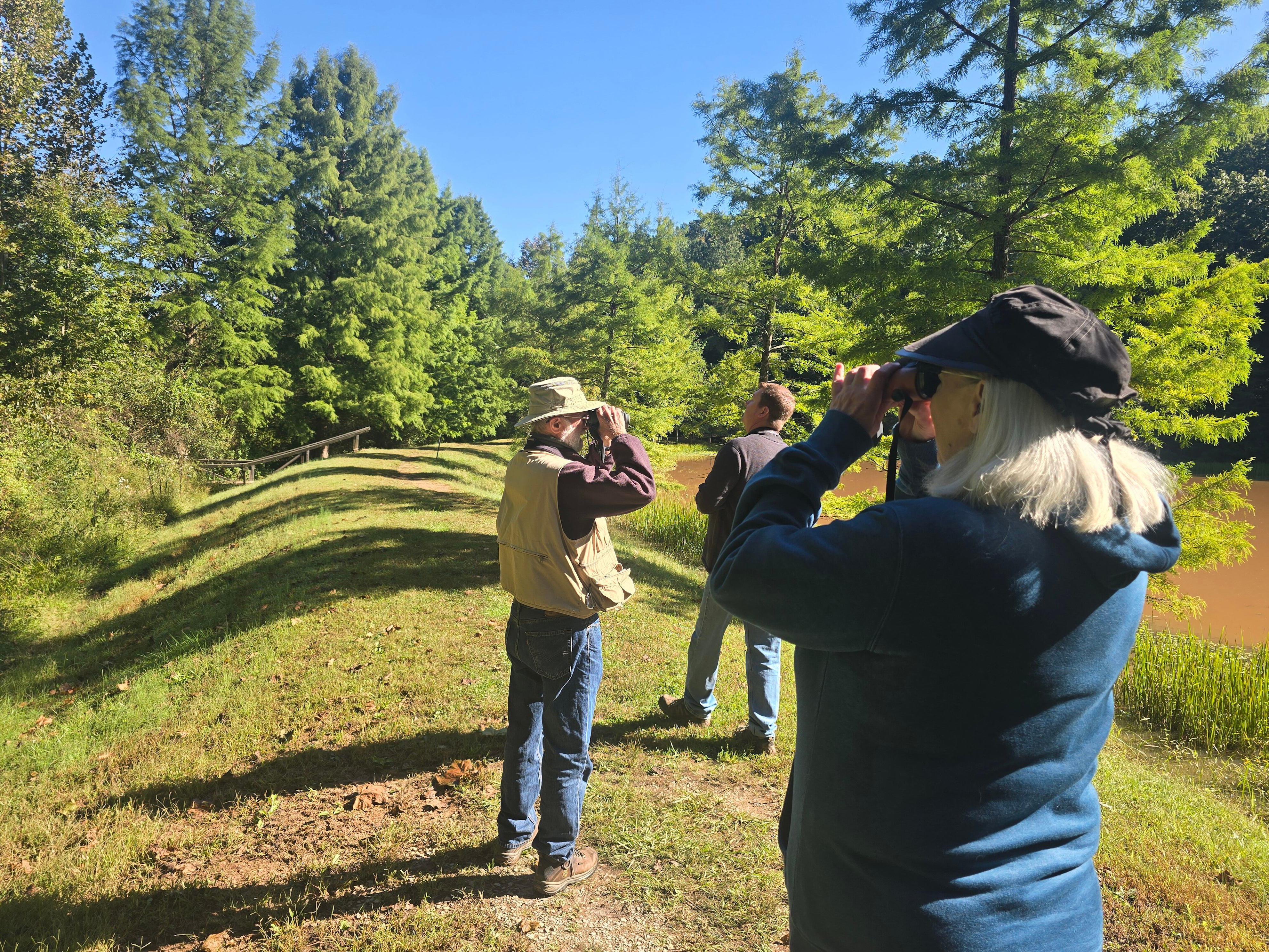 Mountwood Bird Club turns fall migration into community, conservation