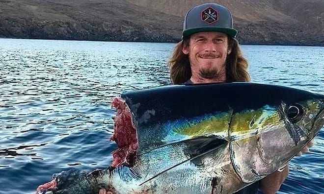 Great white sharks 'taxing' fishermen is nothing new