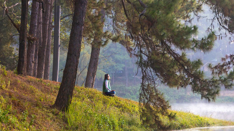 How Buddhist principles can help you heal and improve self-trust