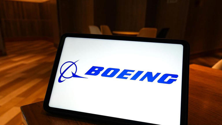 Boeing 737 MAX software glitch does not pose in-flight safety issue ...