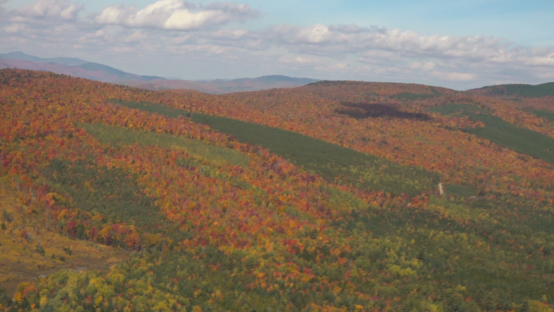 Peak foliage from flight: how one Maine pilot takes leaf-peeping to new ...