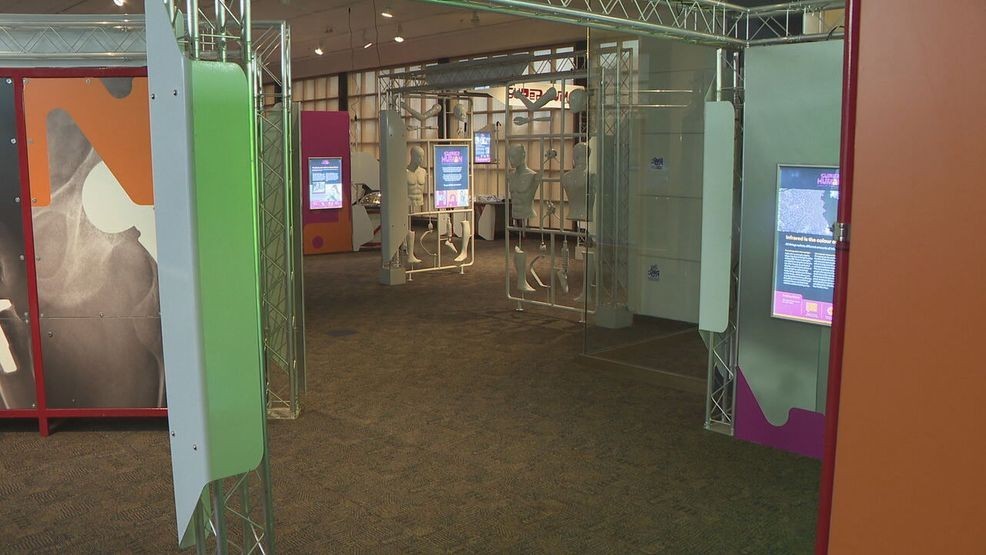 RMSC unveils new superhuman exhibit