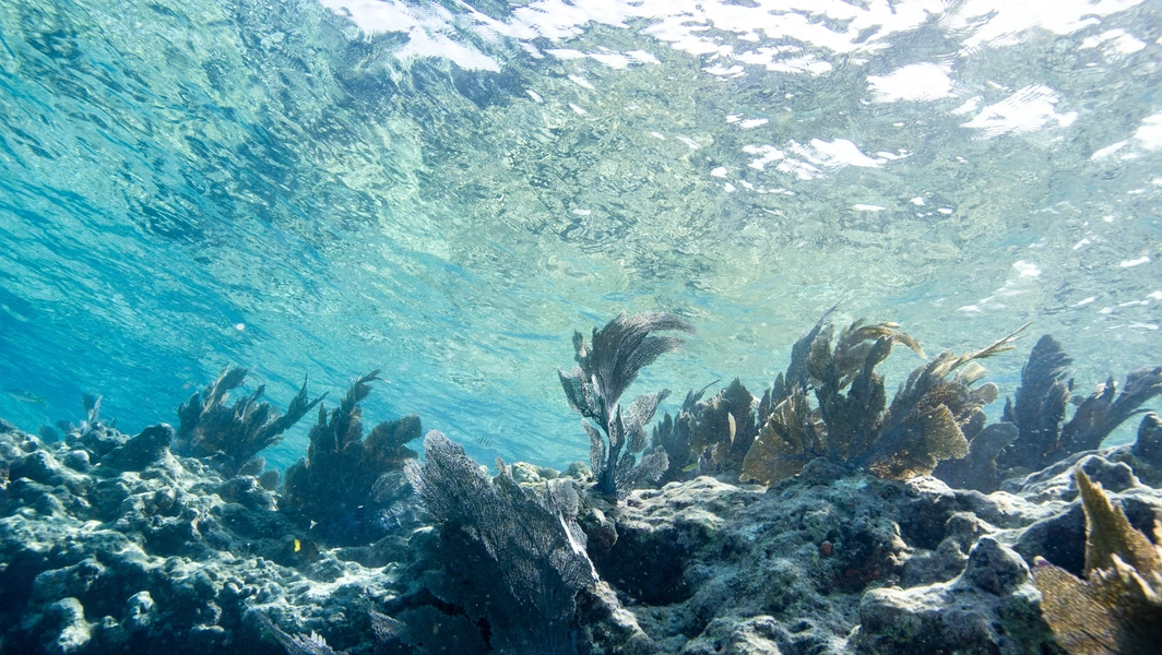 Florida Keys beaches and islands draw fall travelers