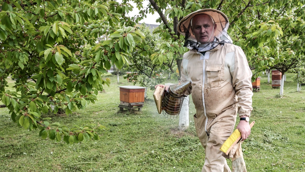 Essential skills for new beekeepers