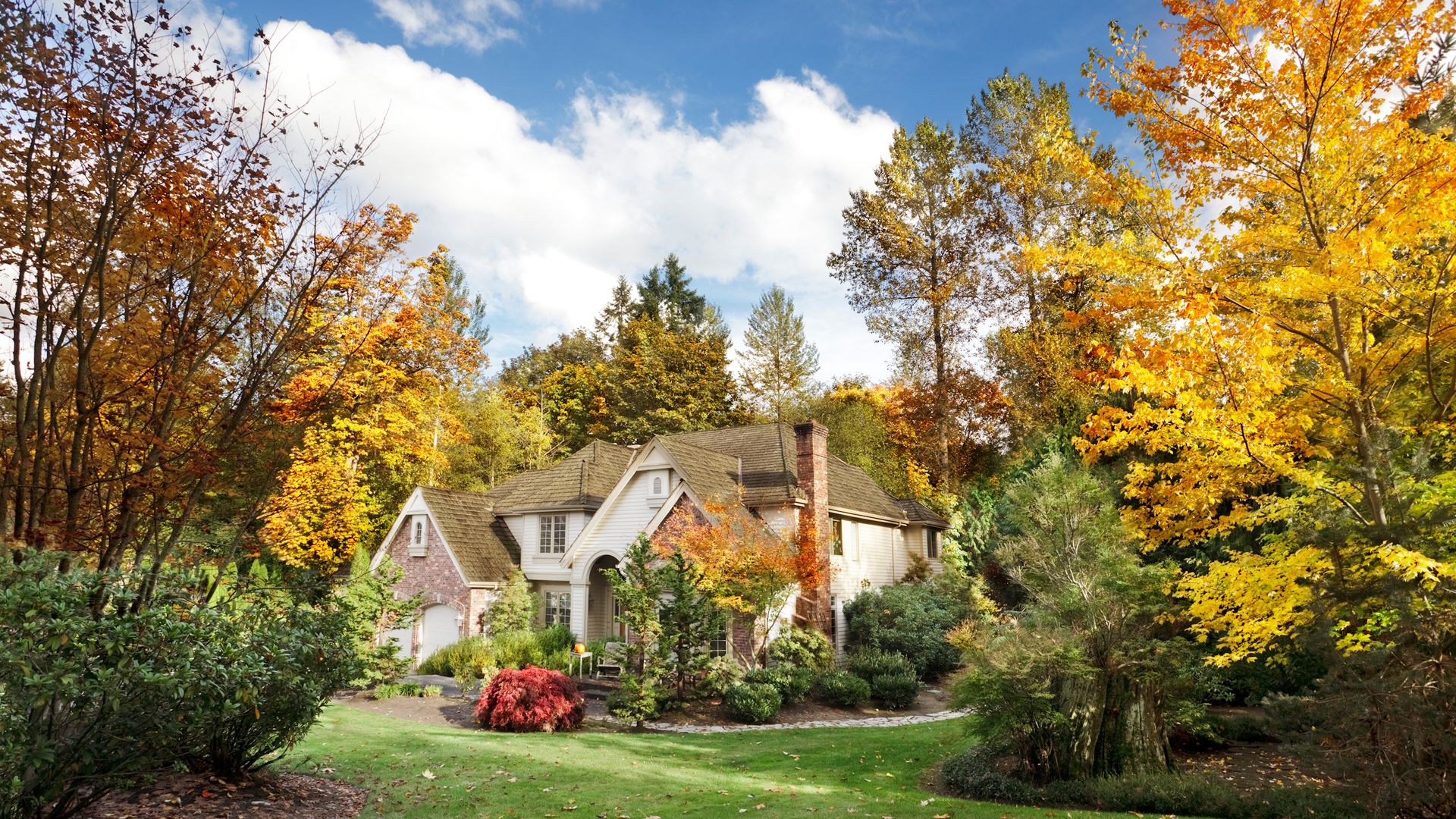 October pruning is for tidying and protecting – these plants will come ...