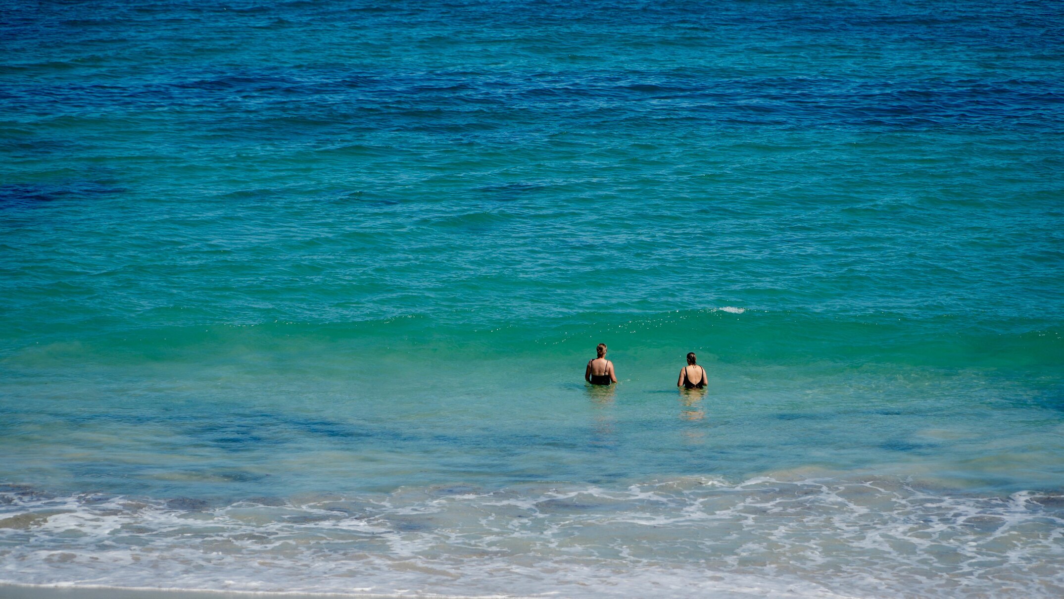 Sharks could linger off Perth coast for weeks despite removal of whale ...