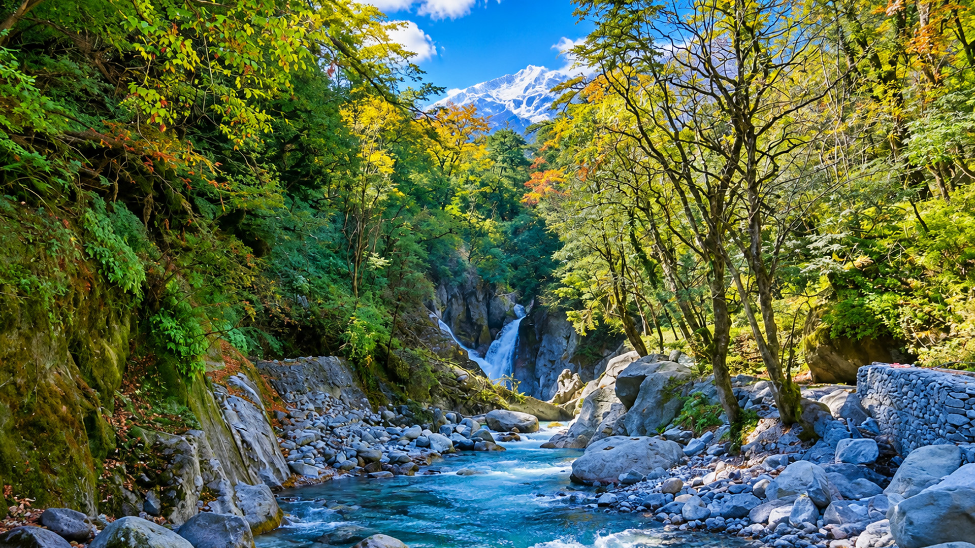 A hidden waterfall deep in the Annapurna forest