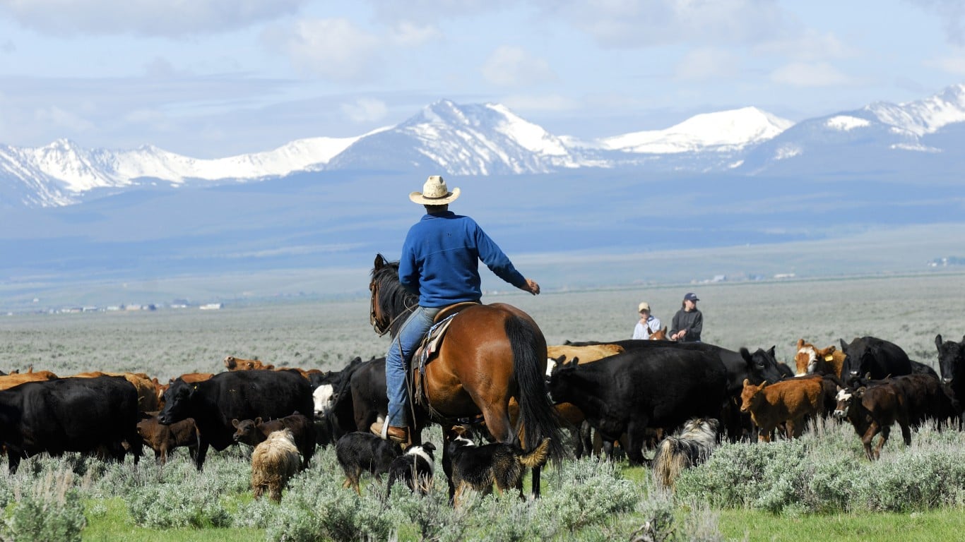 Ground beef costs $6.79 a pound. A rancher’s breeding-cow sale may not ...