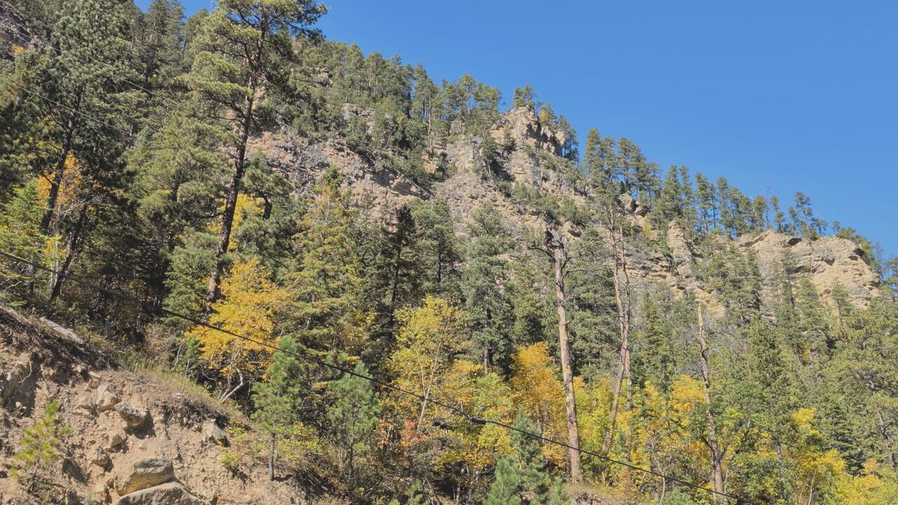 Spearfish Canyon reaches peak fall color, drawing visitors from across ...