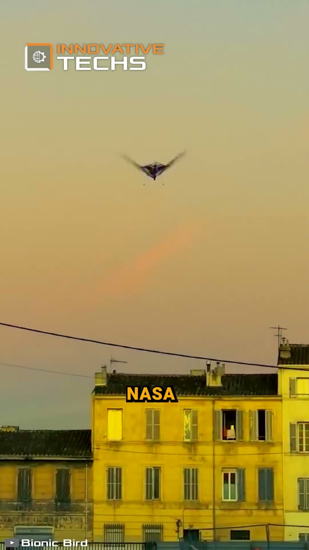 Meet the bionic ornithopter: A 12g bird drone with NASA tech!