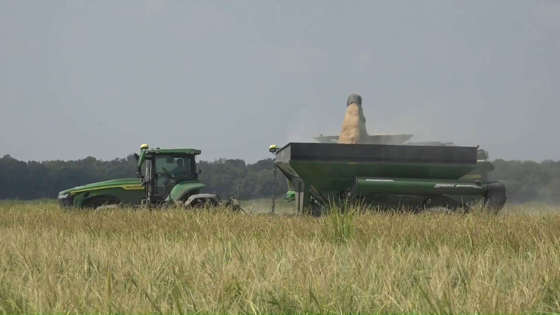 Governor Sanders grants Arkansas farmers a tax-free break on red dye ...