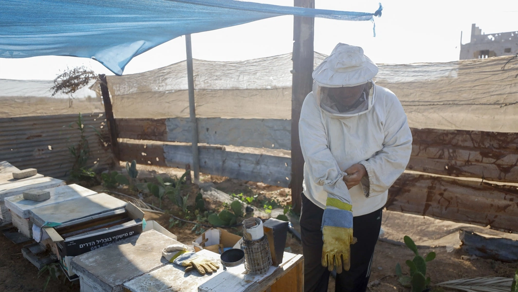 Essential skills for new beekeepers