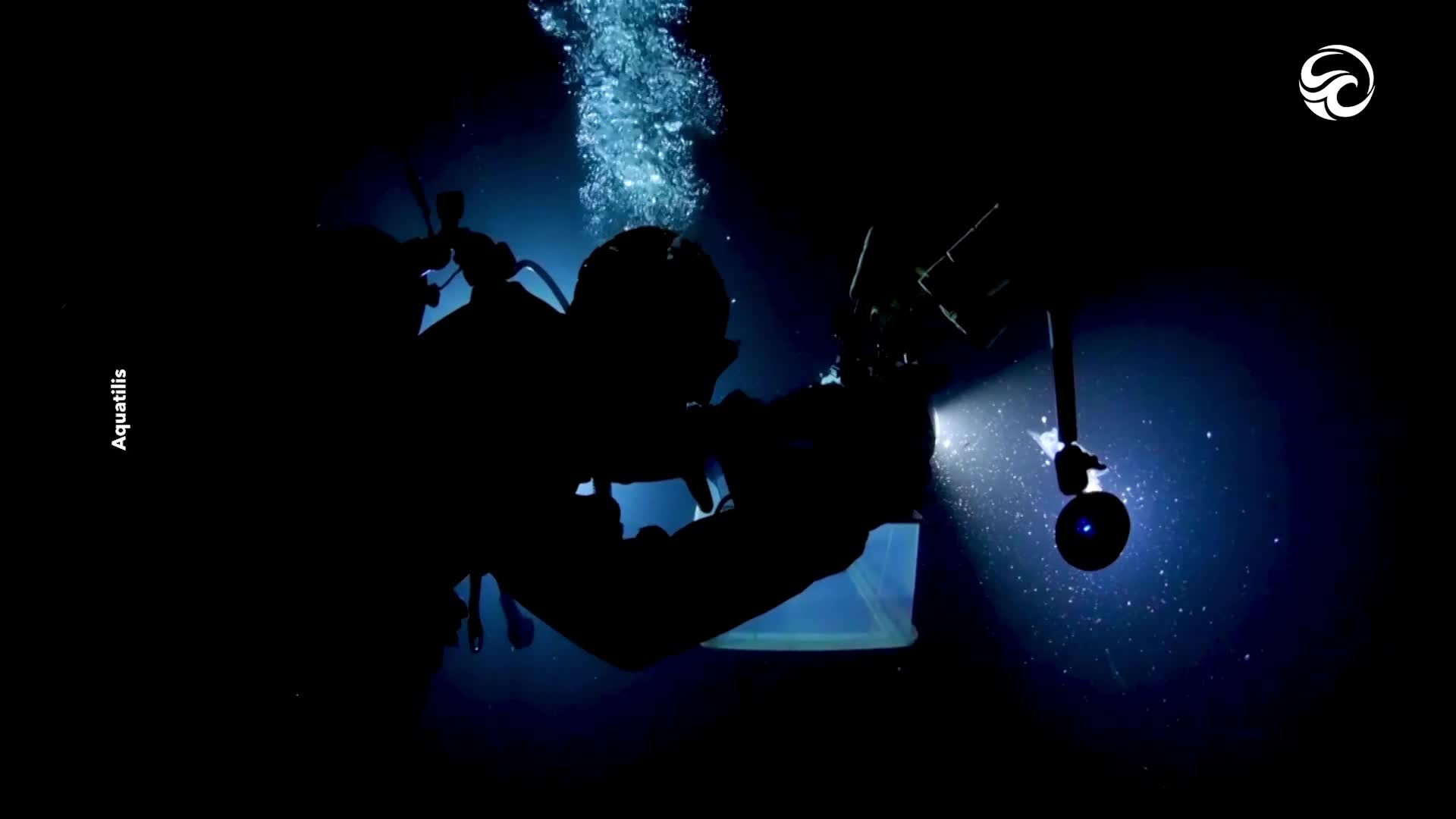 Diver discovers strange transparent creatures during night dive