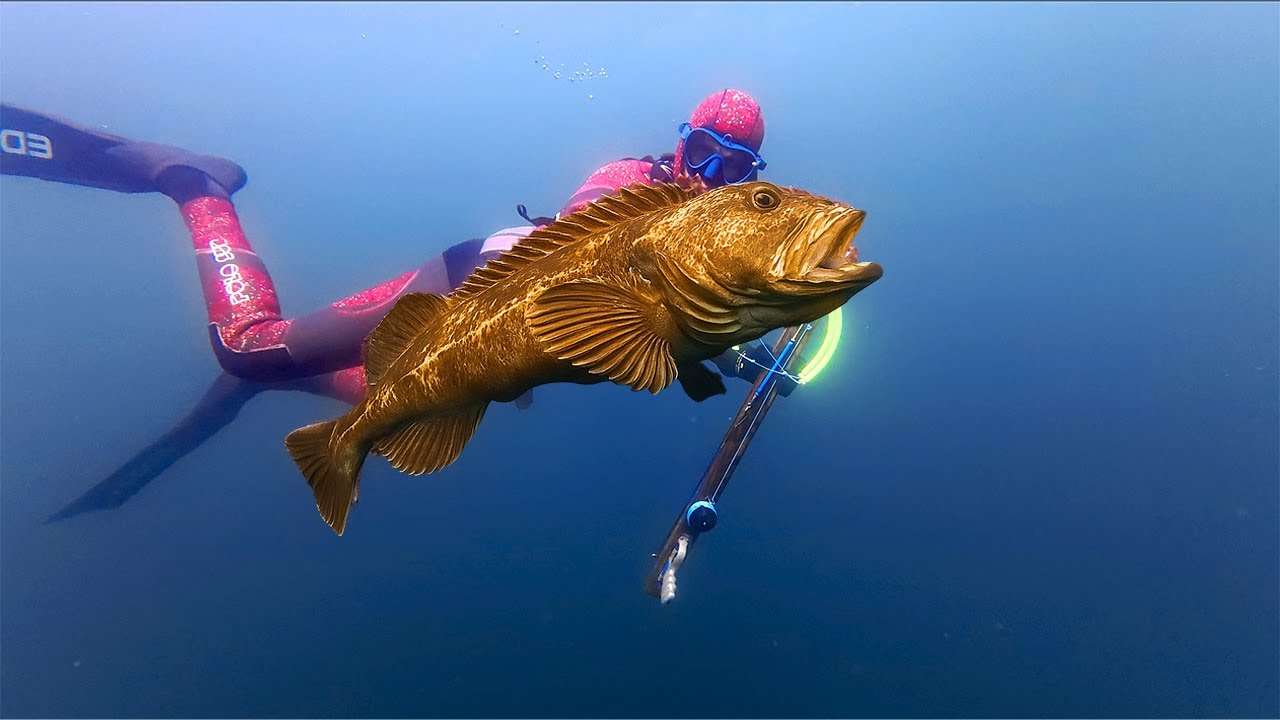 We caught and cooked the biggest fish ever!
