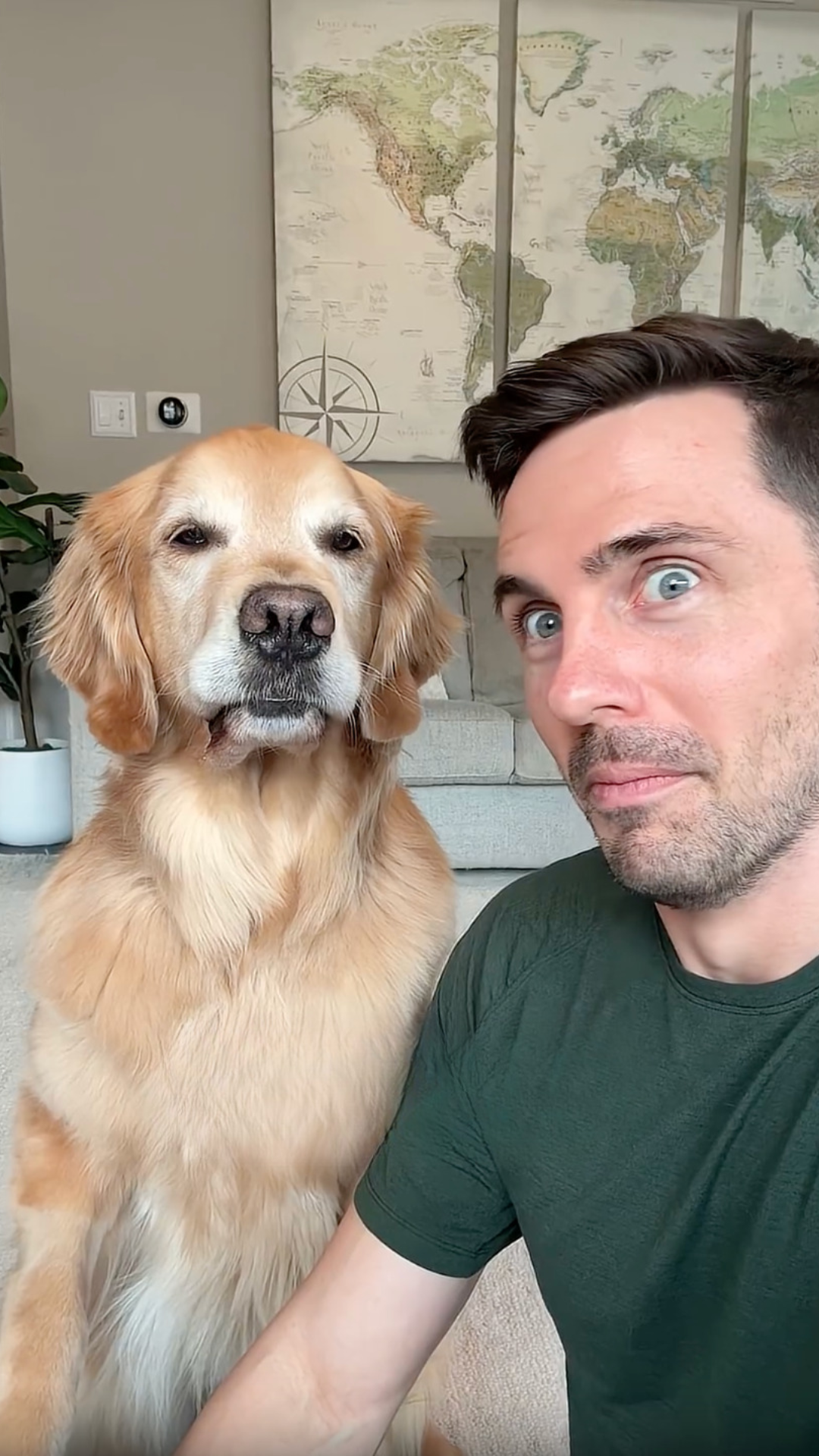 Think dogs can't smile? Watch this golden retriever