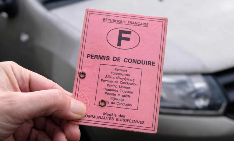 Vous avez encore le permis rose ? Il ne sera plus valable à partir de ...