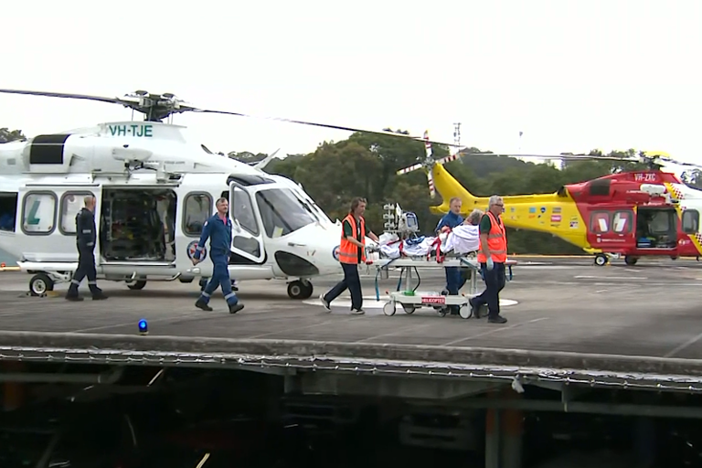 P-plater charged after car allegedly hit Knights fans in Newcastle