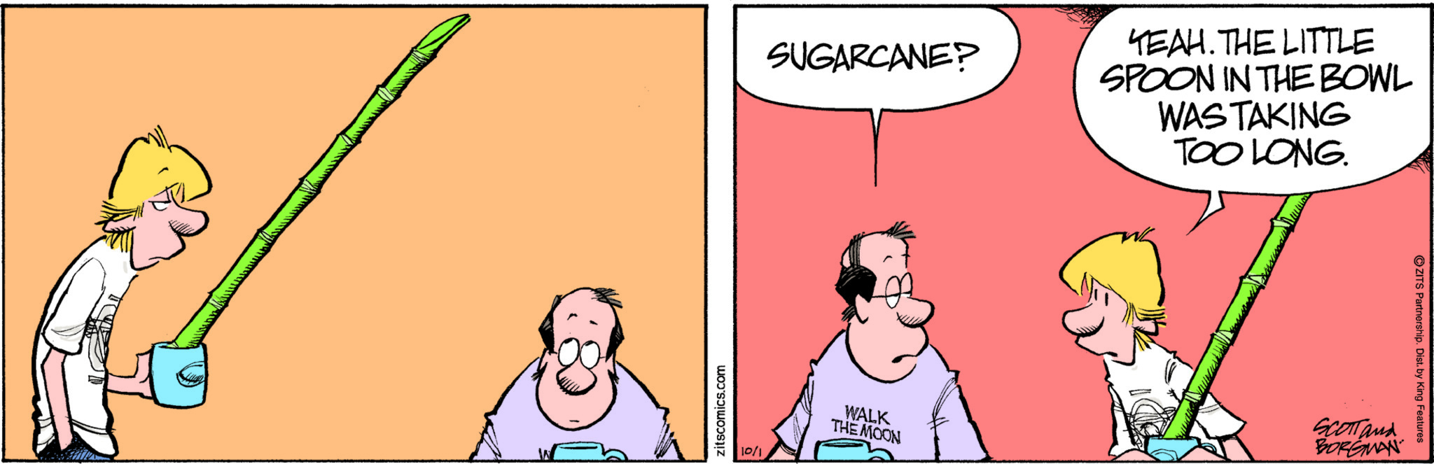 Zits by Jerry Scott and Jim Borgman